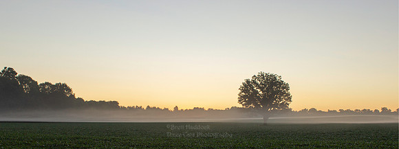 IMG_8070 6x16