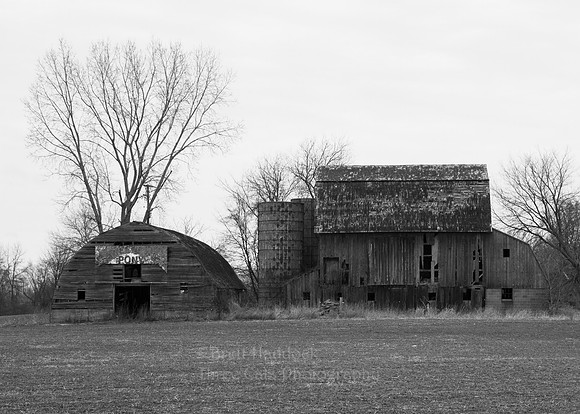 IMG_6480-2 5x7
