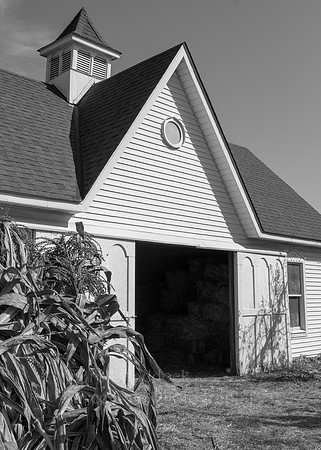 IMG_9904 5x7 BW