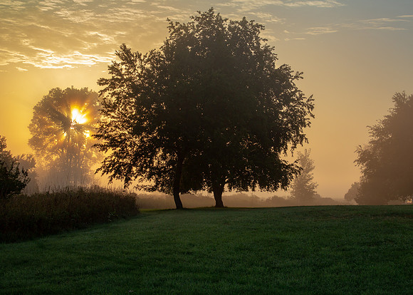 IMG_9759 5x7